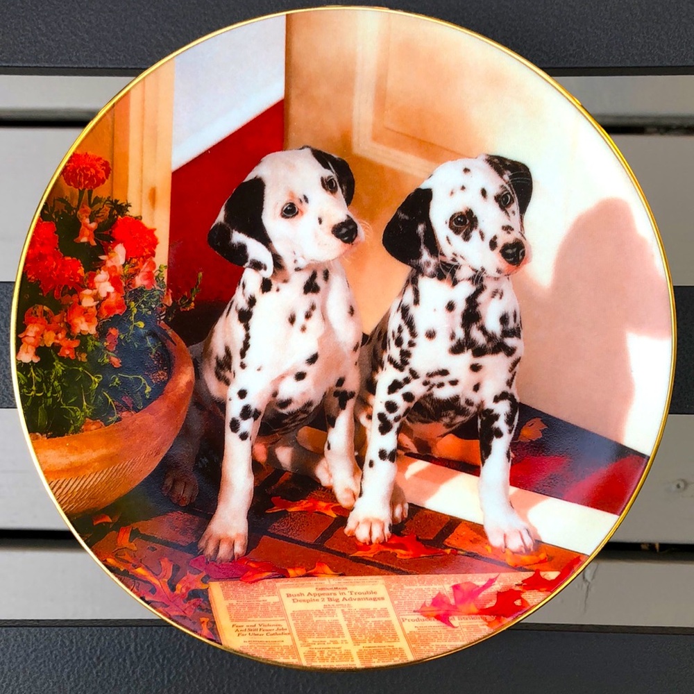 2for$20🟠Hamilton Plates Collection- Dalmatians - dog